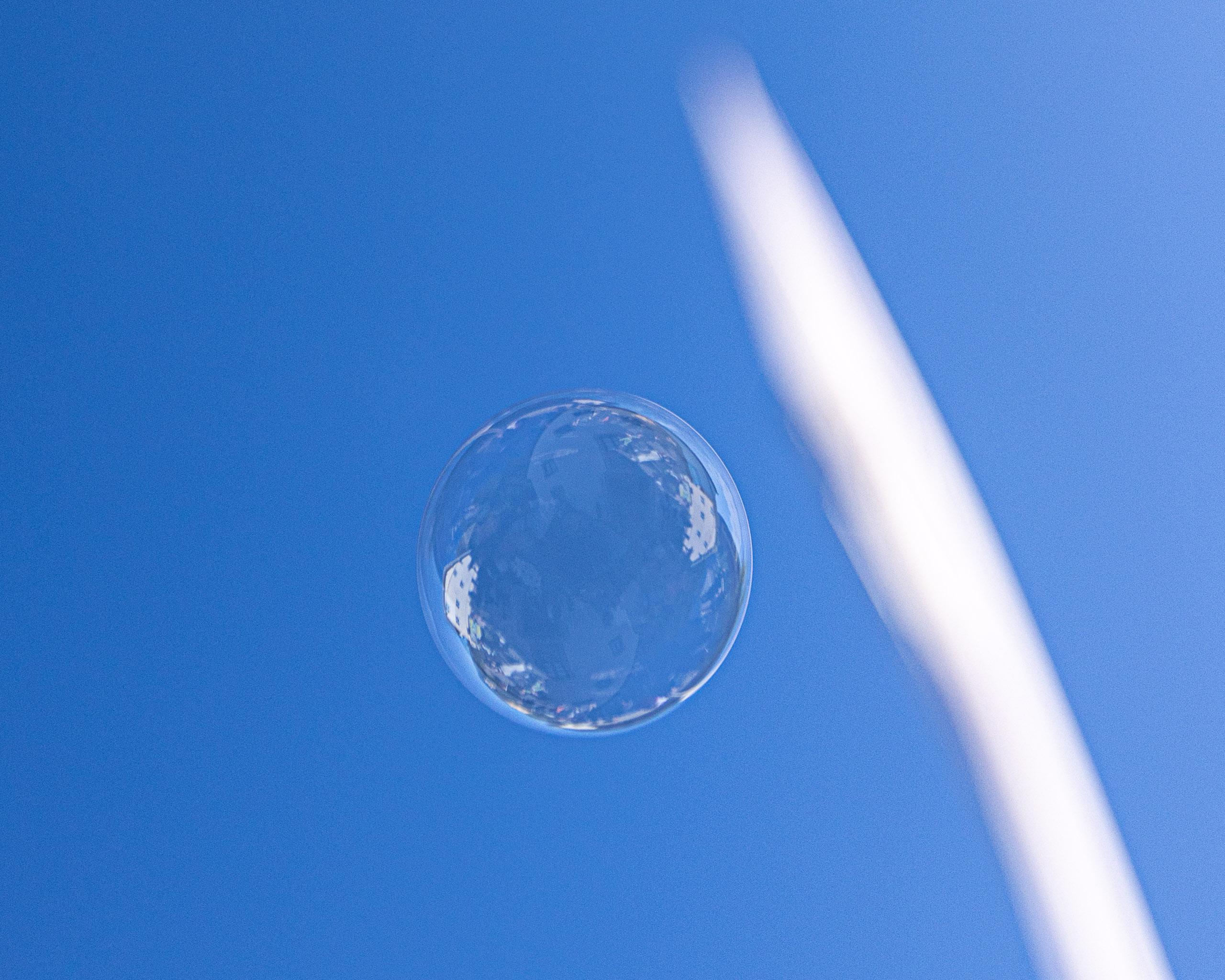 20230925154313 R5D 2184