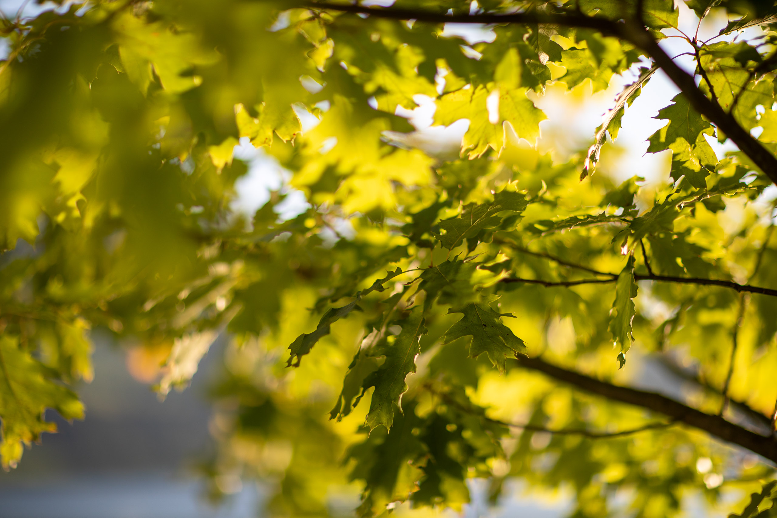 20230925181829 RD4 4416