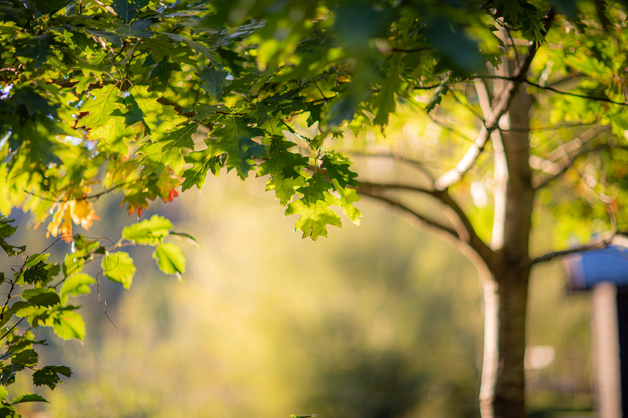 20230925184005 RD4 4451